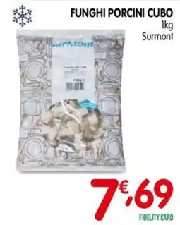 D'Ambros Funghi porcini cubo Surmont offerta