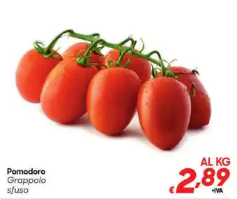 Pomodoro Grappolo sfuso