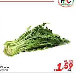 Pac Cash&Carry Cicoria Mazzi offerta