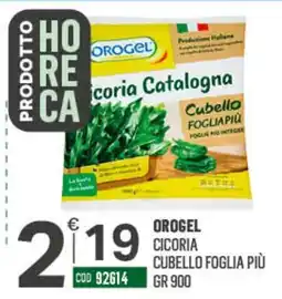 Tutto Risparmio Cash&Carry OrogeL cicoria catalogna cubello foglia più offerta