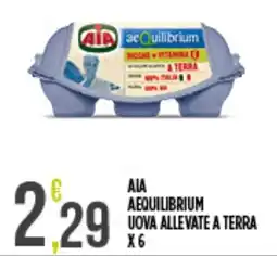 Supermercato Pollio AIA AEQUILIBRIUM UOVA ALLEVATE A TERRA offerta