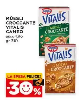 Alì Supermercati Muesli croccante Vitalis Cameo offerta