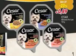 IperFamila Cesar Alimento Per Cani offerta