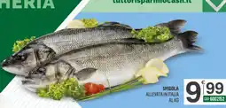 Tutto Risparmio Cash&Carry Spigola allevata in Italia offerta
