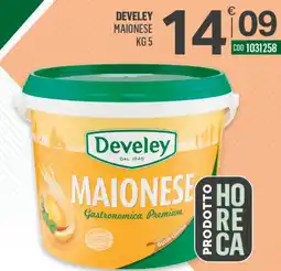 Tutto Risparmio Cash&Carry Develey Maionese offerta