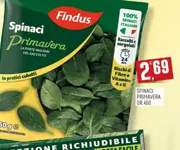 Maxipiù Spinaci Primavera Findus offerta