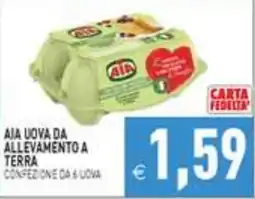 Iperfamily Aja uova da allevamento a terra offerta