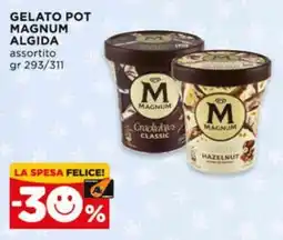 Alì Supermercati Gelato pot magnum algida assortito offerta