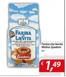 DiMeglio Farina che lievita Molino Spadoni offerta
