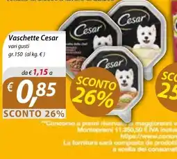 DiMeglio Vaschette Cesar offerta