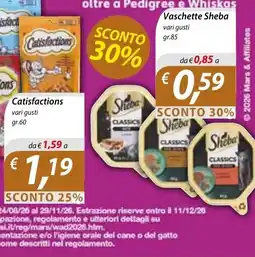 DiMeglio Vaschette Sheba offerta