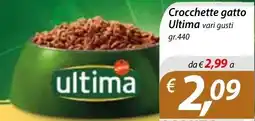 DiMeglio Crocchette gatto Ultima offerta