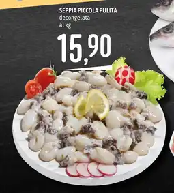 Emisfero Seppia piccola pulita offerta