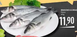 Emisfero Branzino 4/6 Croaz offerta