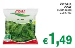 D'Italy Cicoria Coal offerta