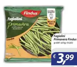 DiMeglio Fagiolini Primavera Findus offerta