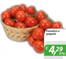 DiMeglio Pomodoro a grappolo offerta
