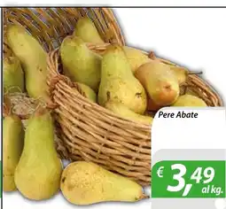 DiMeglio Pere Abate offerta