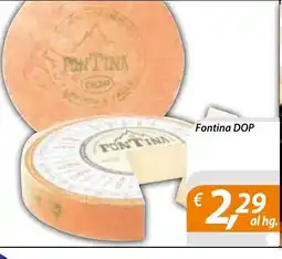 DiMeglio Fontina DOP offerta