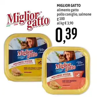 Miglior gatto alimento gatto