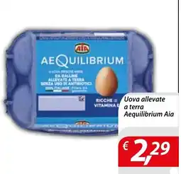 DiMeglio Uova allevate a terra Aequilibrium Aia offerta