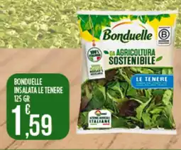 Euroesse Bonduelle insalata le tenere offerta