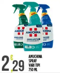 Netto Supermercati Amuchina spray offerta