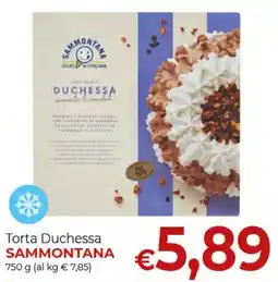 Maxi Nonna Isa Torta Duchessa Sammontana offerta