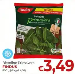 Maxi Nonna Isa Bietoline Primavera Findus offerta