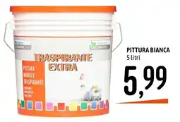Emisfero Pittura murale traspirante extra offerta