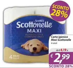 DiMeglio Carta igienica Maxi Scottonele offerta