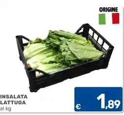 C+C Cash and Carry Insalata lattuga offerta