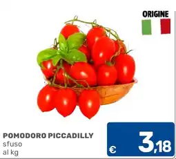 C+C Cash and Carry Pomodoro Piccadilly offerta