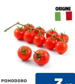 C+C Cash and Carry Pomodoro offerta