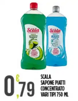Euroesse Scala sapone piatti concentrato offerta