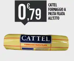 Euroesse Cattel formaggio pasta filata offerta