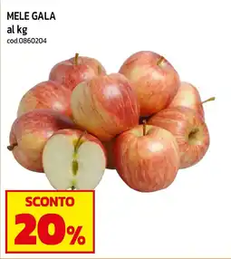 C+C maxigross Mele Gala offerta