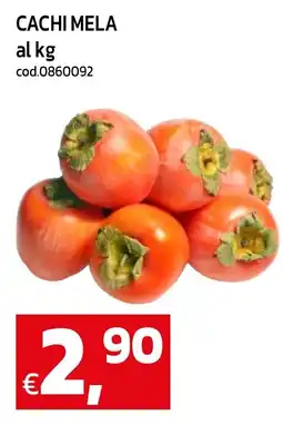 C+C maxigross Cachi mela offerta