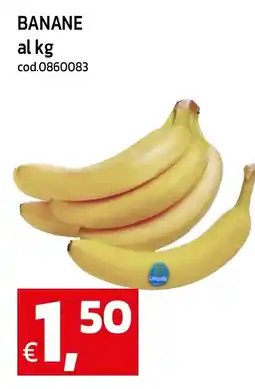 C+C maxigross Banane offerta