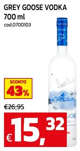 C+C maxigross Grey Goose Vodka offerta