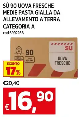 C+C maxigross Uova fresche offerta