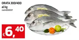 C+C maxigross Orata offerta