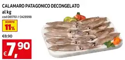 C+C maxigross Calamaro patagonico decongelato offerta