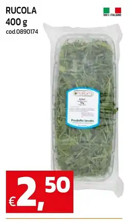 C+C maxigross Rucola offerta