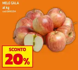 C+C maxigross Mele Gala offerta