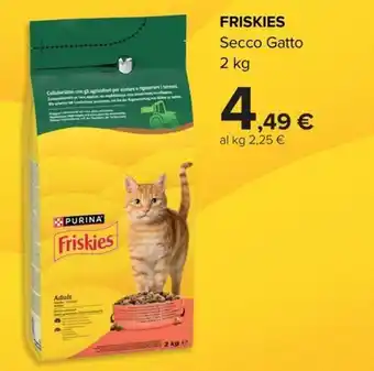 Friskies Secco Gatto