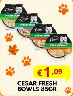 MEGA Cesar Fresh Bowls offerta