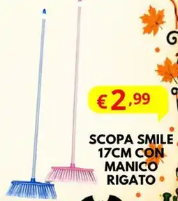 MEGA Scopa smile offerta
