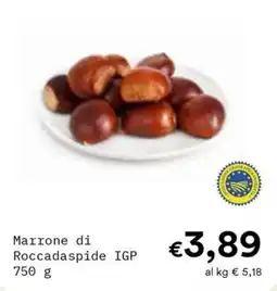 Borello Supermercati Marrone di Roccadaspide IGP offerta