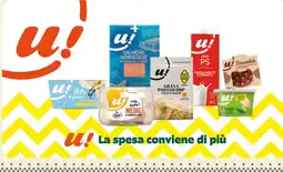Borello Supermercati u! Salmone Norvegese offerta